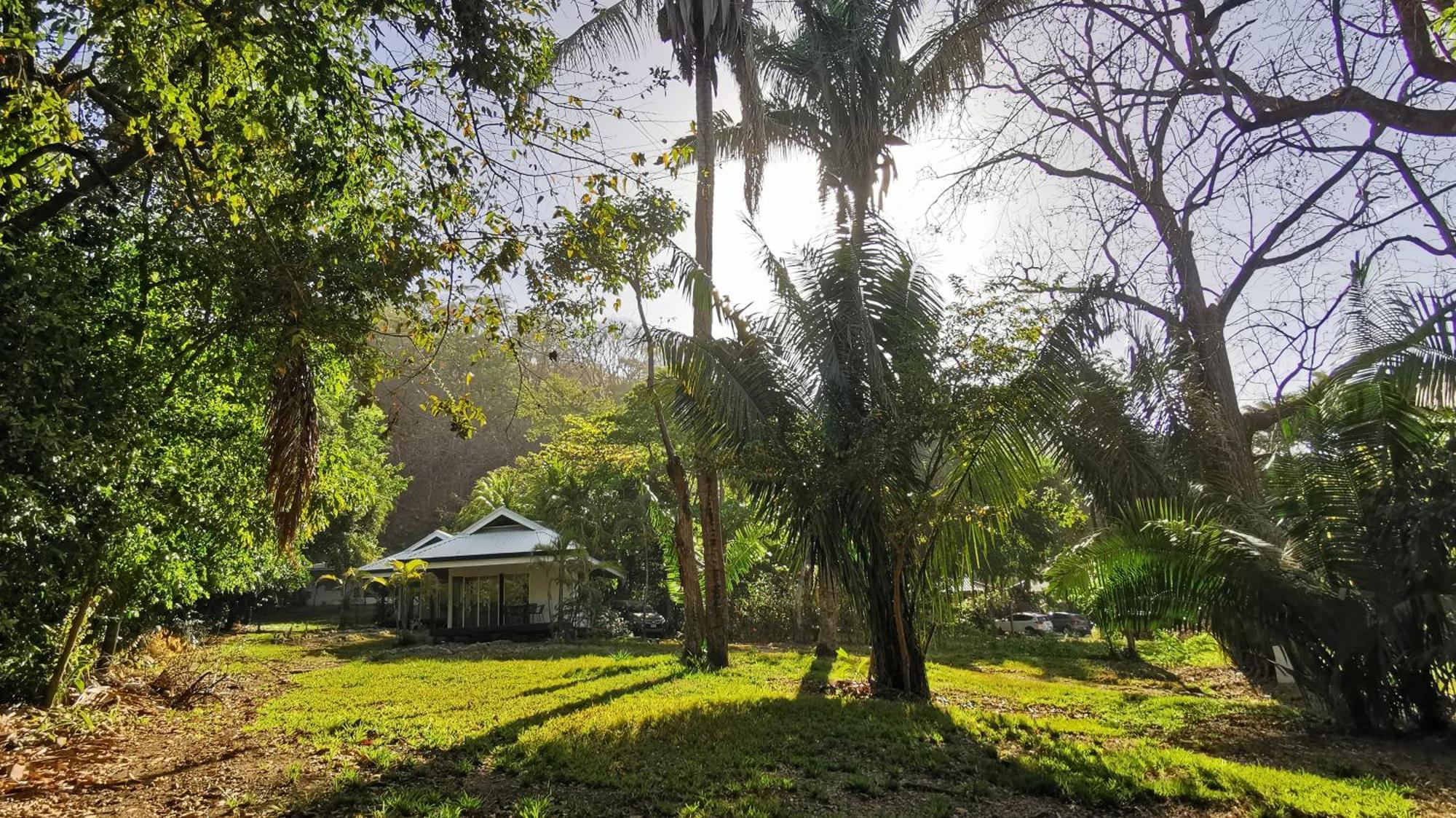 Playa Santa Teresa  Armadillo Eco Bungalows - Santa Teresa מראה חיצוני תמונה