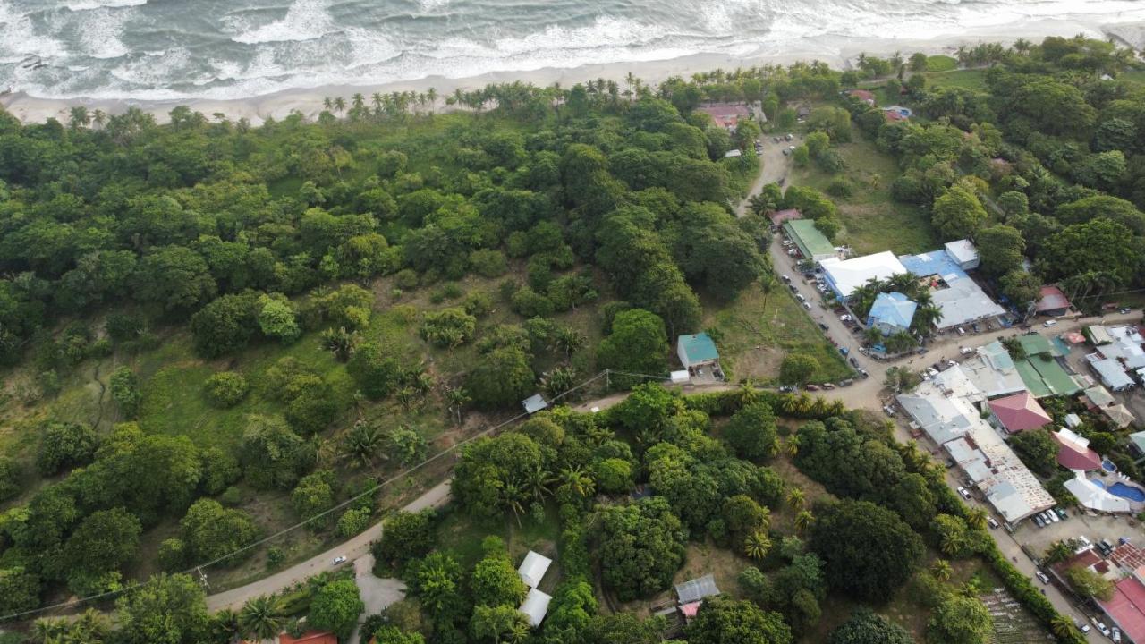 Playa Santa Teresa  Armadillo Eco Bungalows - Santa Teresa מראה חיצוני תמונה