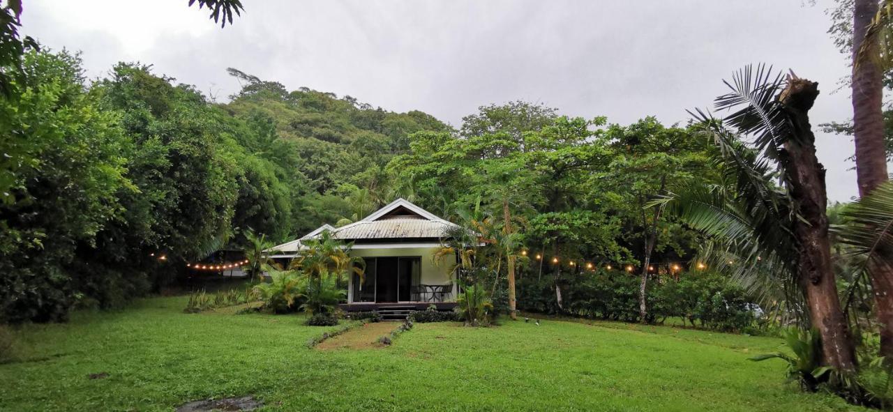 Playa Santa Teresa  Armadillo Eco Bungalows - Santa Teresa מראה חיצוני תמונה