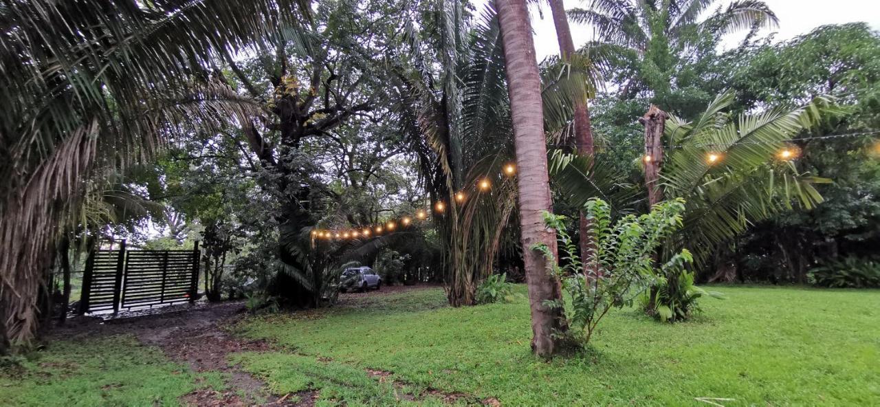 Playa Santa Teresa  Armadillo Eco Bungalows - Santa Teresa מראה חיצוני תמונה
