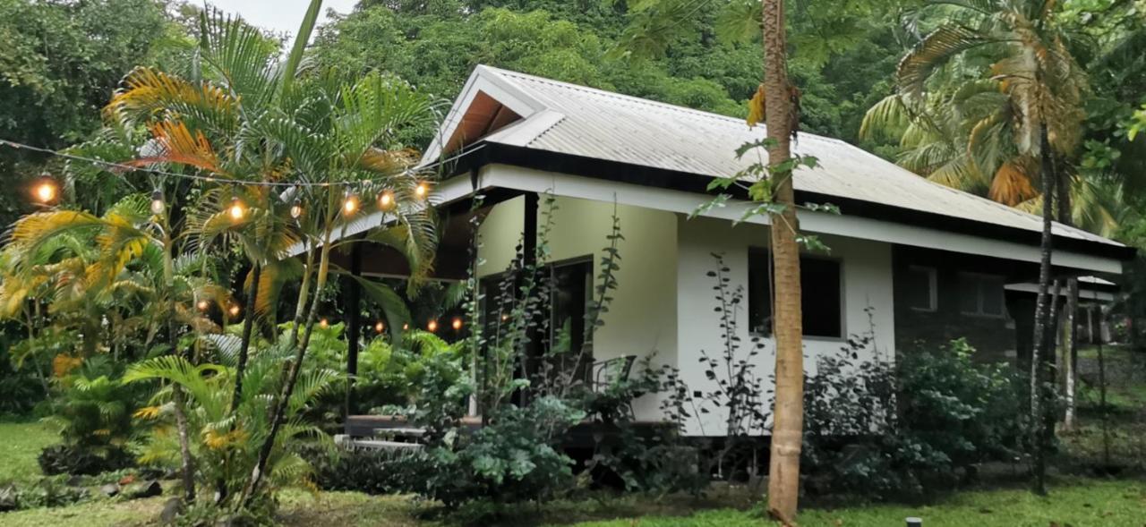 Playa Santa Teresa  Armadillo Eco Bungalows - Santa Teresa מראה חיצוני תמונה