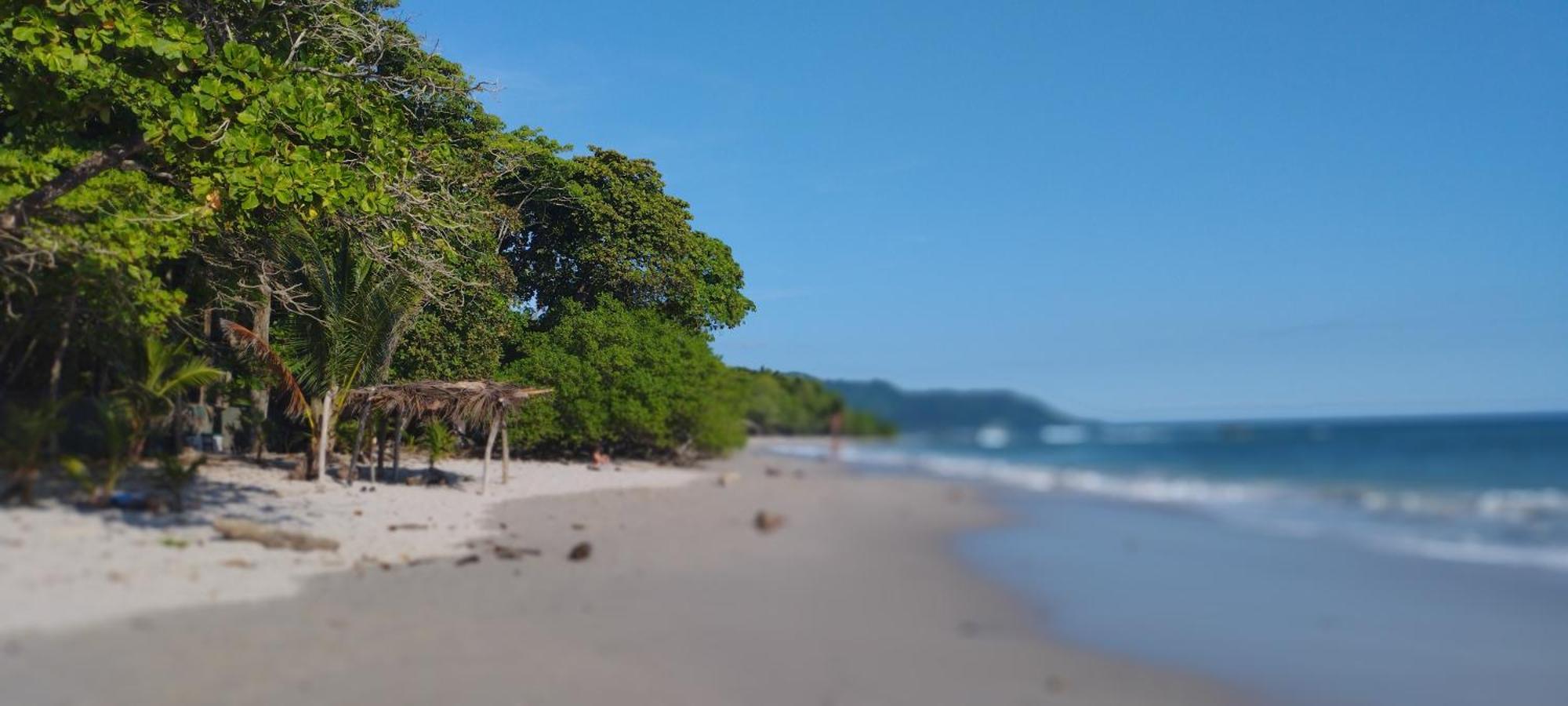 Playa Santa Teresa  Armadillo Eco Bungalows - Santa Teresa מראה חיצוני תמונה