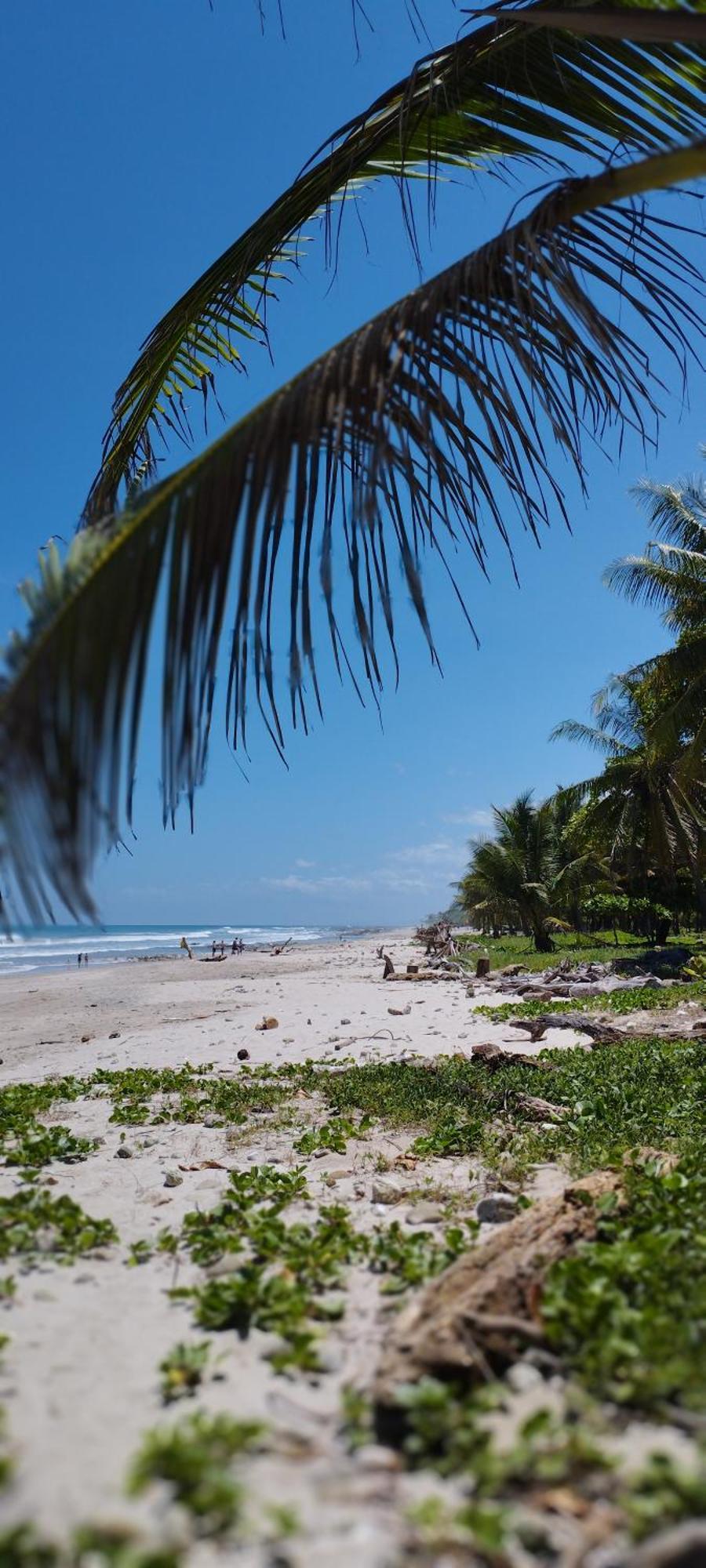 Playa Santa Teresa  Armadillo Eco Bungalows - Santa Teresa מראה חיצוני תמונה