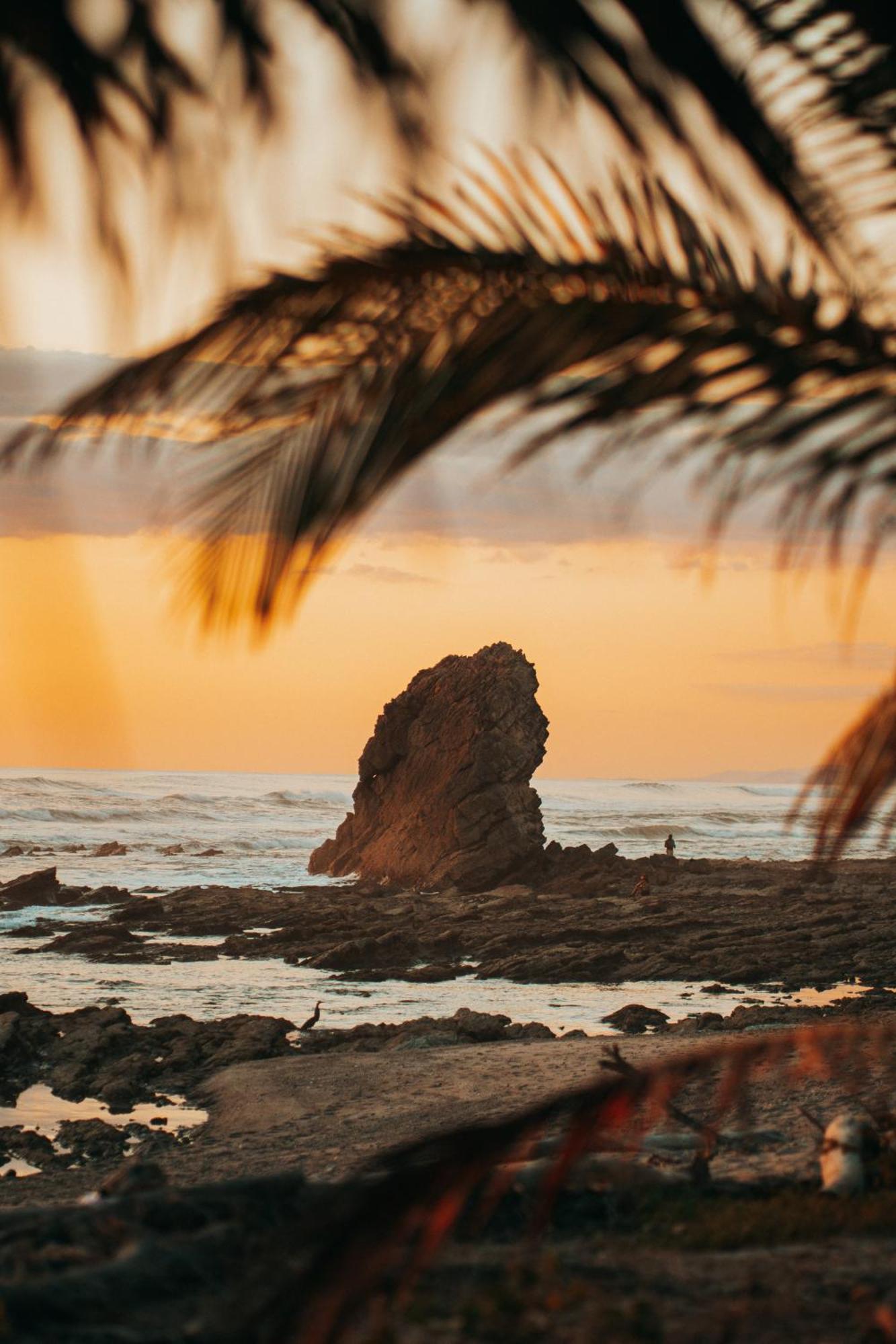 Playa Santa Teresa  Armadillo Eco Bungalows - Santa Teresa מראה חיצוני תמונה